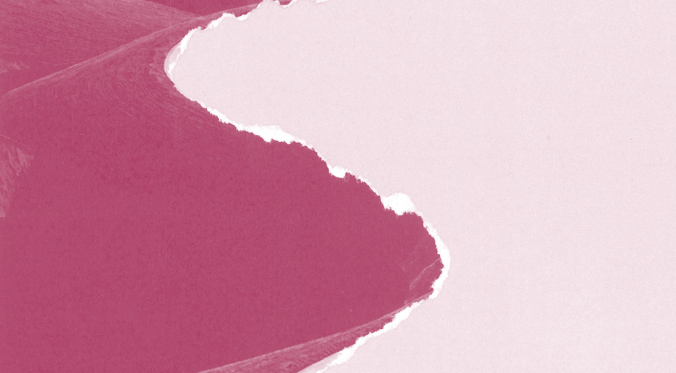 An abstract image featuring a jagged, wavy tear or edge dividing two shades of pink, with a textured darker pink area on the left and a smooth light pink area on the right.