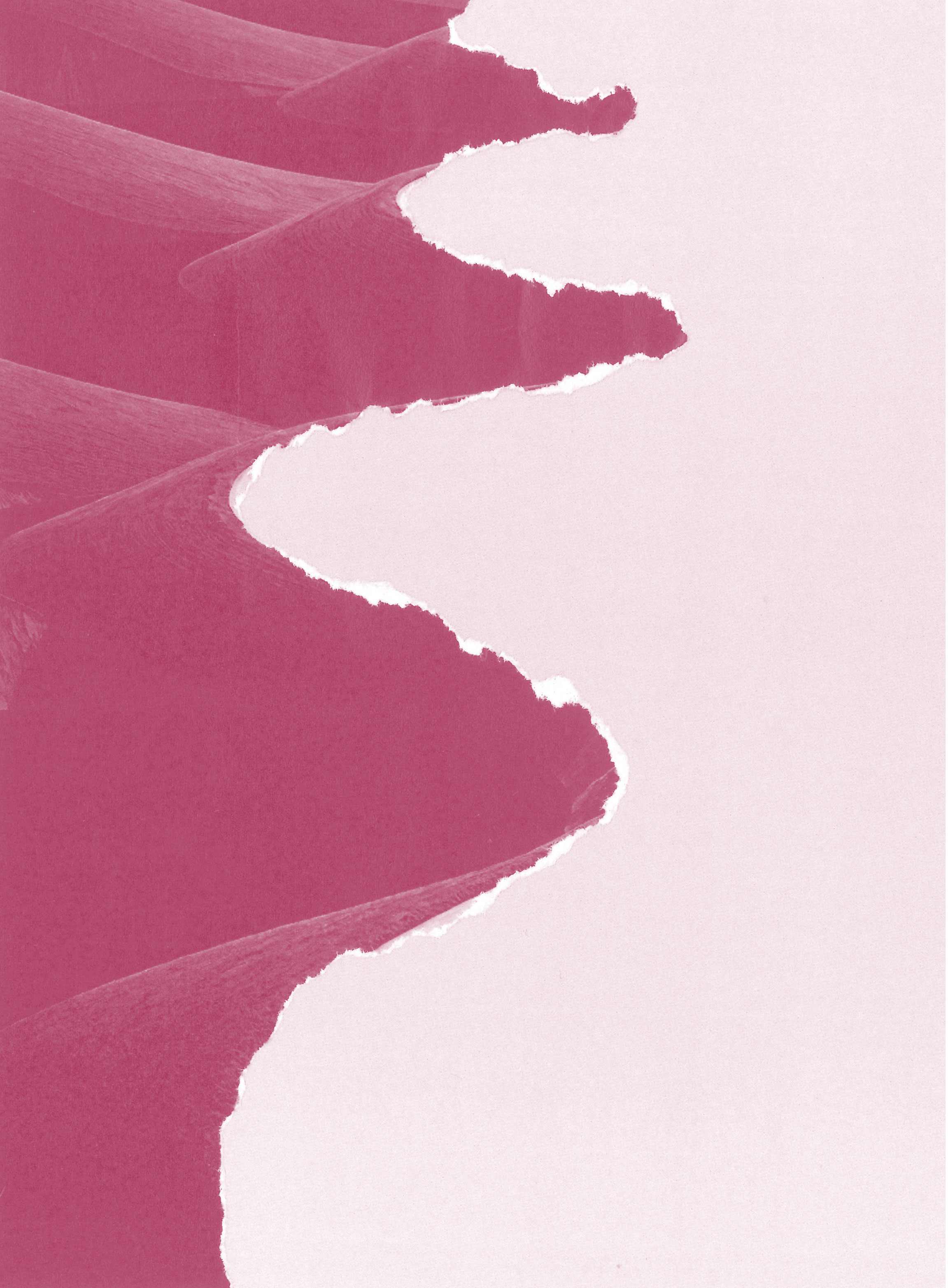 A minimalist photo of sand dunes in a desert, with the image tinted in pink tones. The dunes curve gently, creating a wavy pattern against a plain, light background.