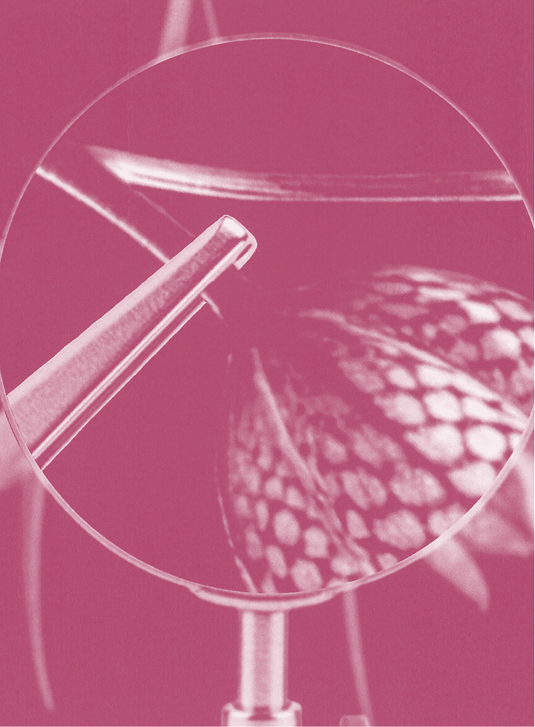 A close-up view through a round lens shows tweezers holding a pointed object near a patterned plant leaf. The image has a pink monochrome filter.
