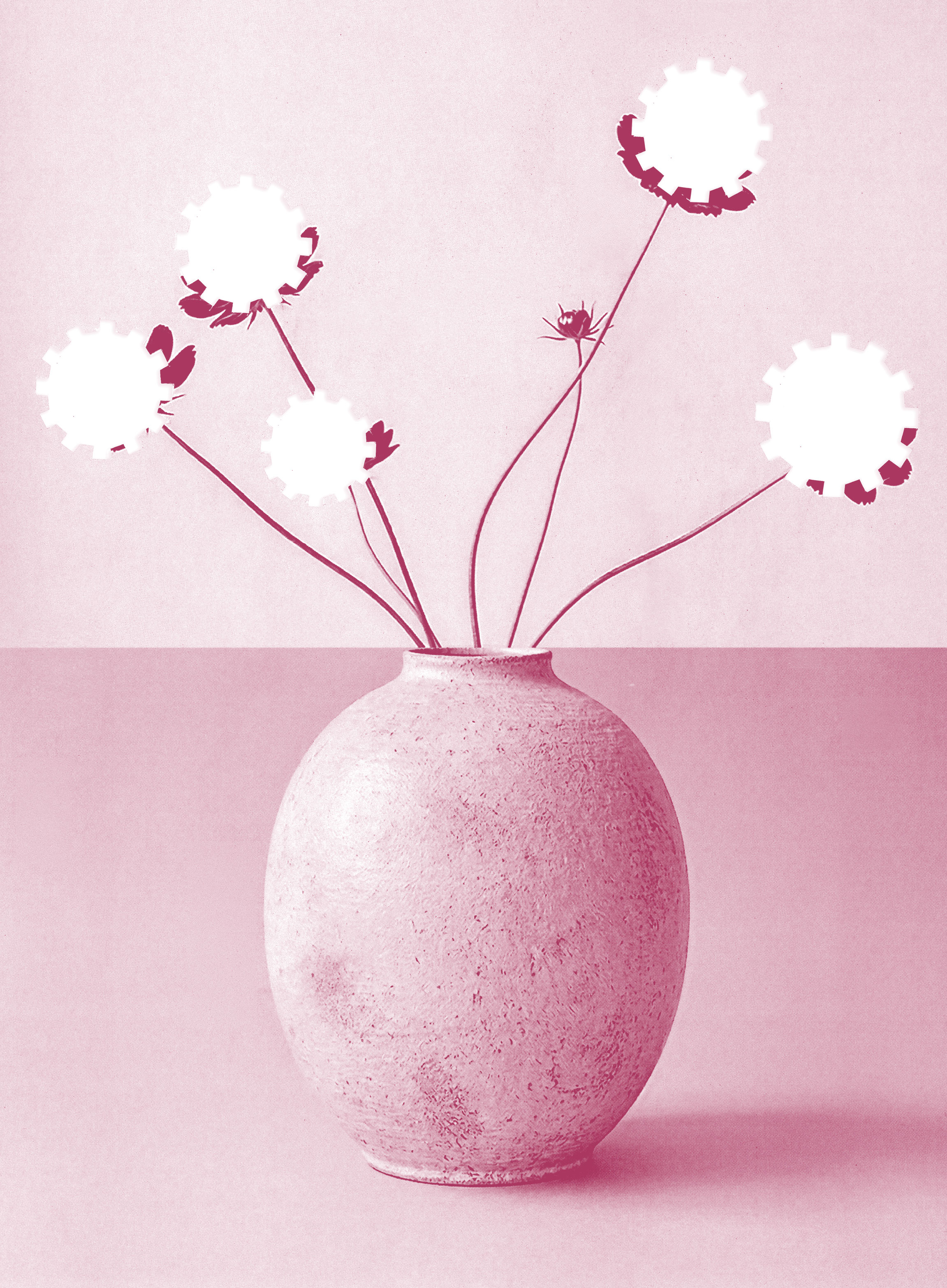 A round, textured vase holds five long-stemmed flowers with gear-shaped white petals, set against a pink two-toned background.