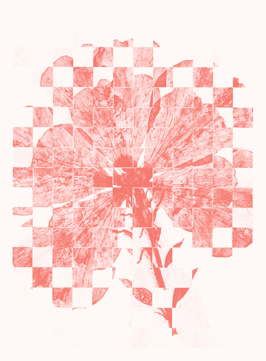 A pink-toned flower illustration overlaid with a white square grid, creating a woven, checkered effect.
