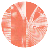 A circular abstract design divided in half, featuring various orange and white halftone patterns and textures on each side, creating a visually dynamic effect.